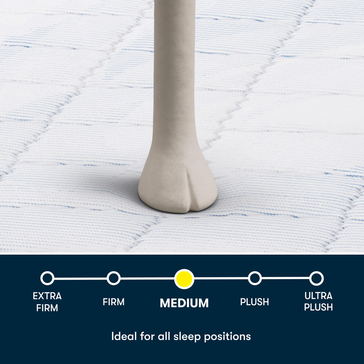 10" – Medium | Perfect Day