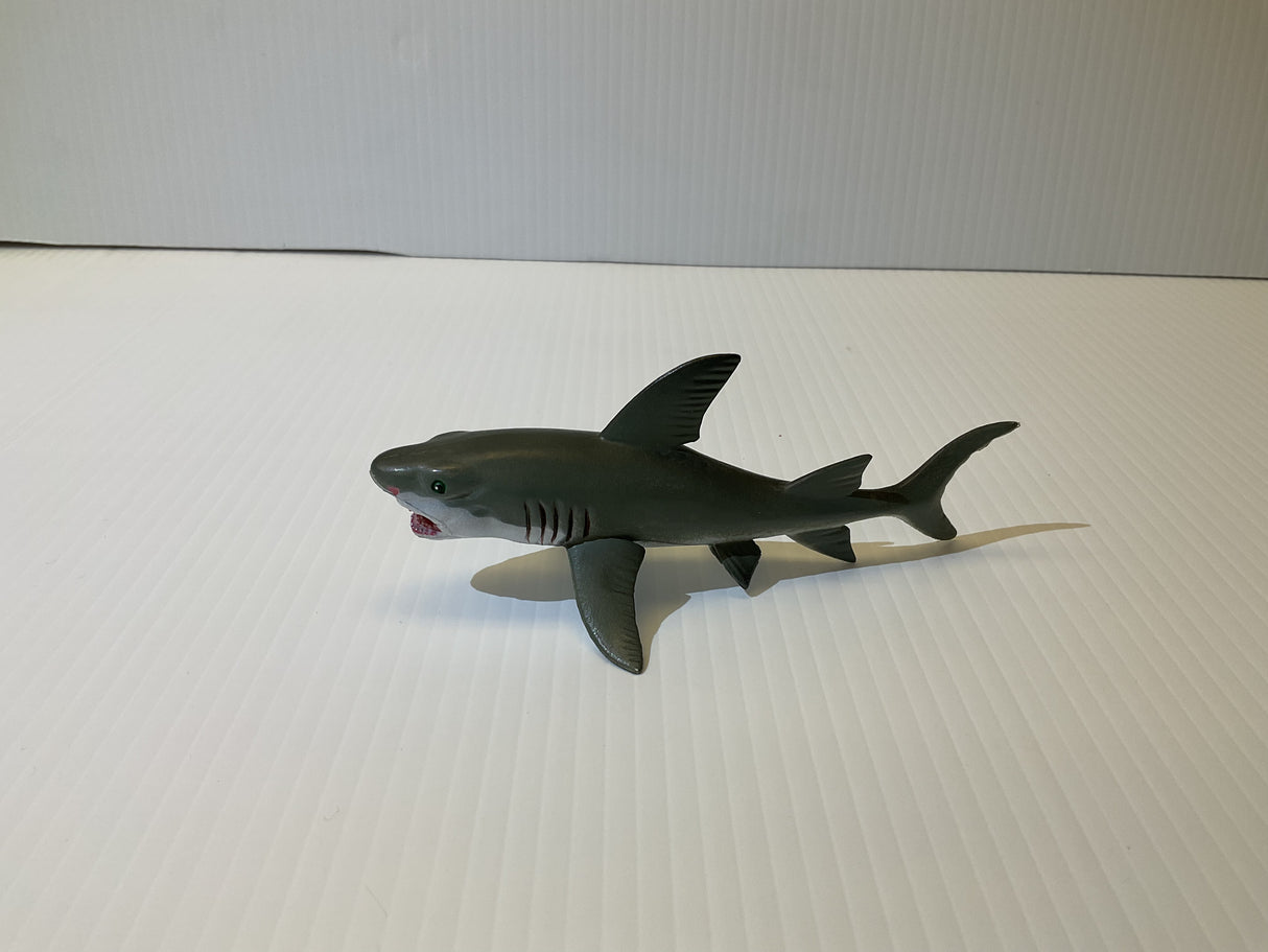 Young Great White Shark | MAJ12816 | Mamejo