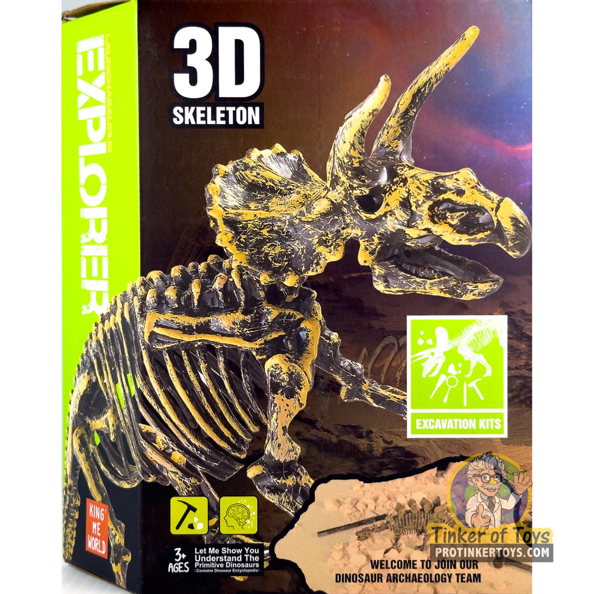 3D Skeleton Excavation Kit (Triceratops) | IMX49016 | King Me World