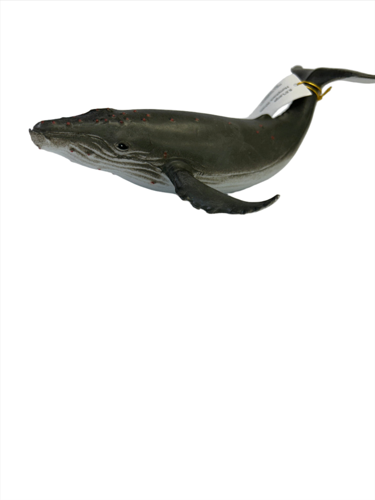 10.5 Large Blue Whale | MAJ12215 | Mamejo