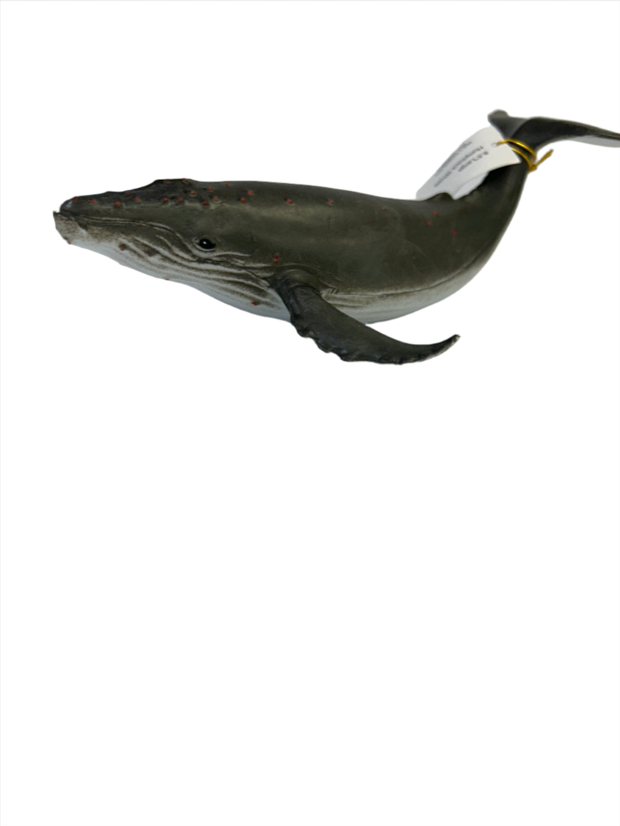 10.5 Large Blue Whale | MAJ12215 | Mamejo