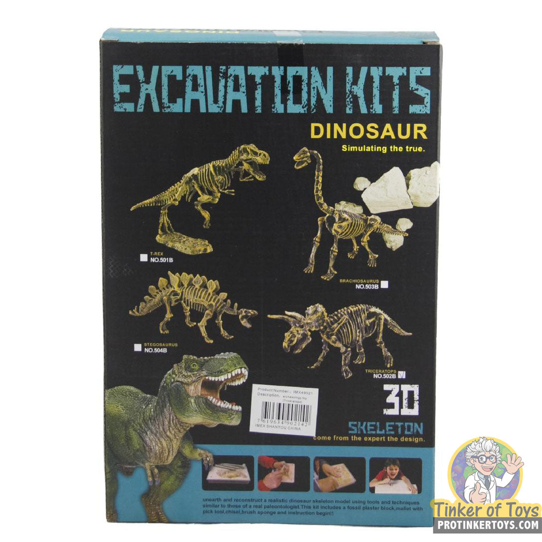 Stegosaurus Paleontology Kit | IMX49023 | IMEX Model Company