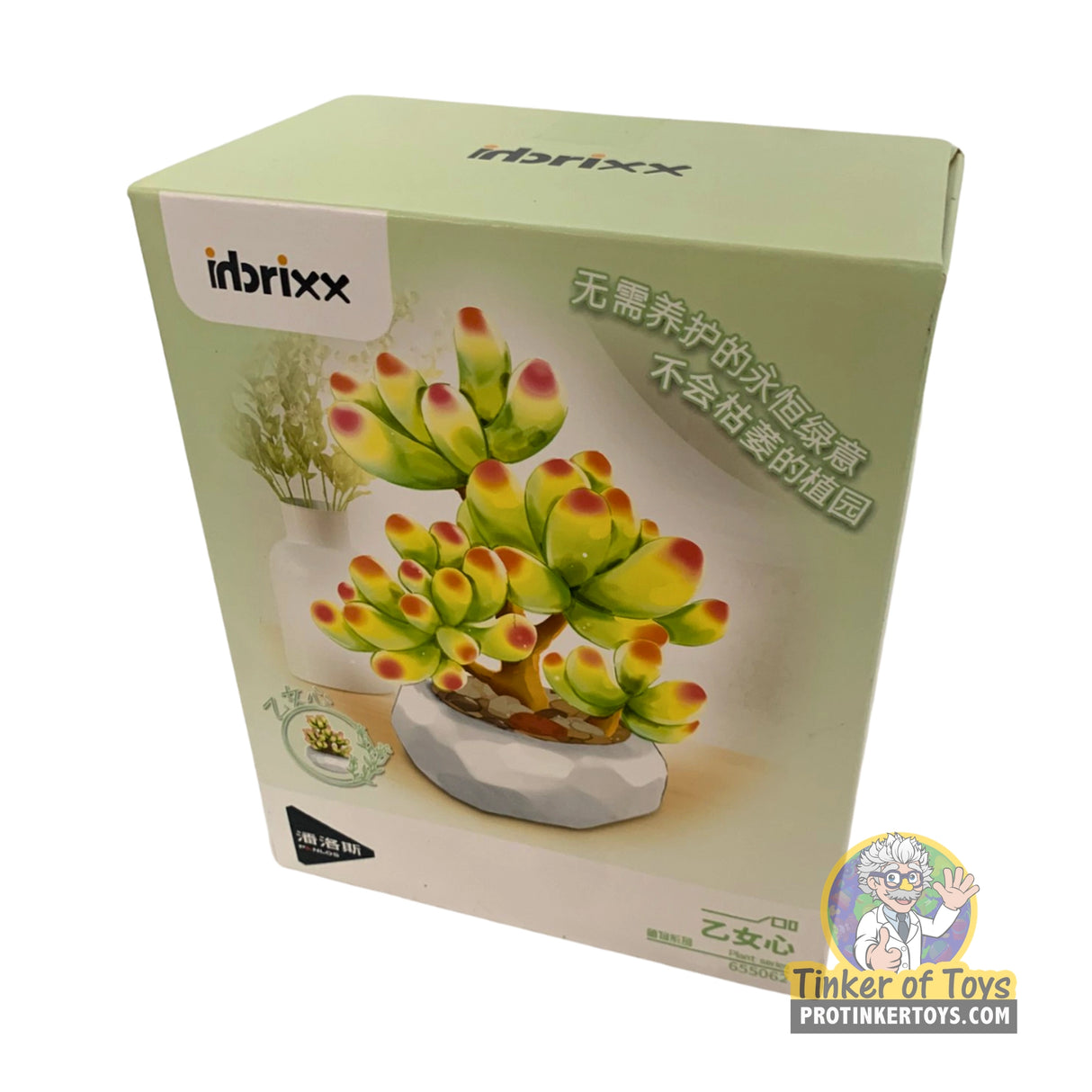Inbrixx Botanical Series – Sedum Succulent (Sedum pachyphyllum “Jelly Bean Plant”) – Model INBX65062