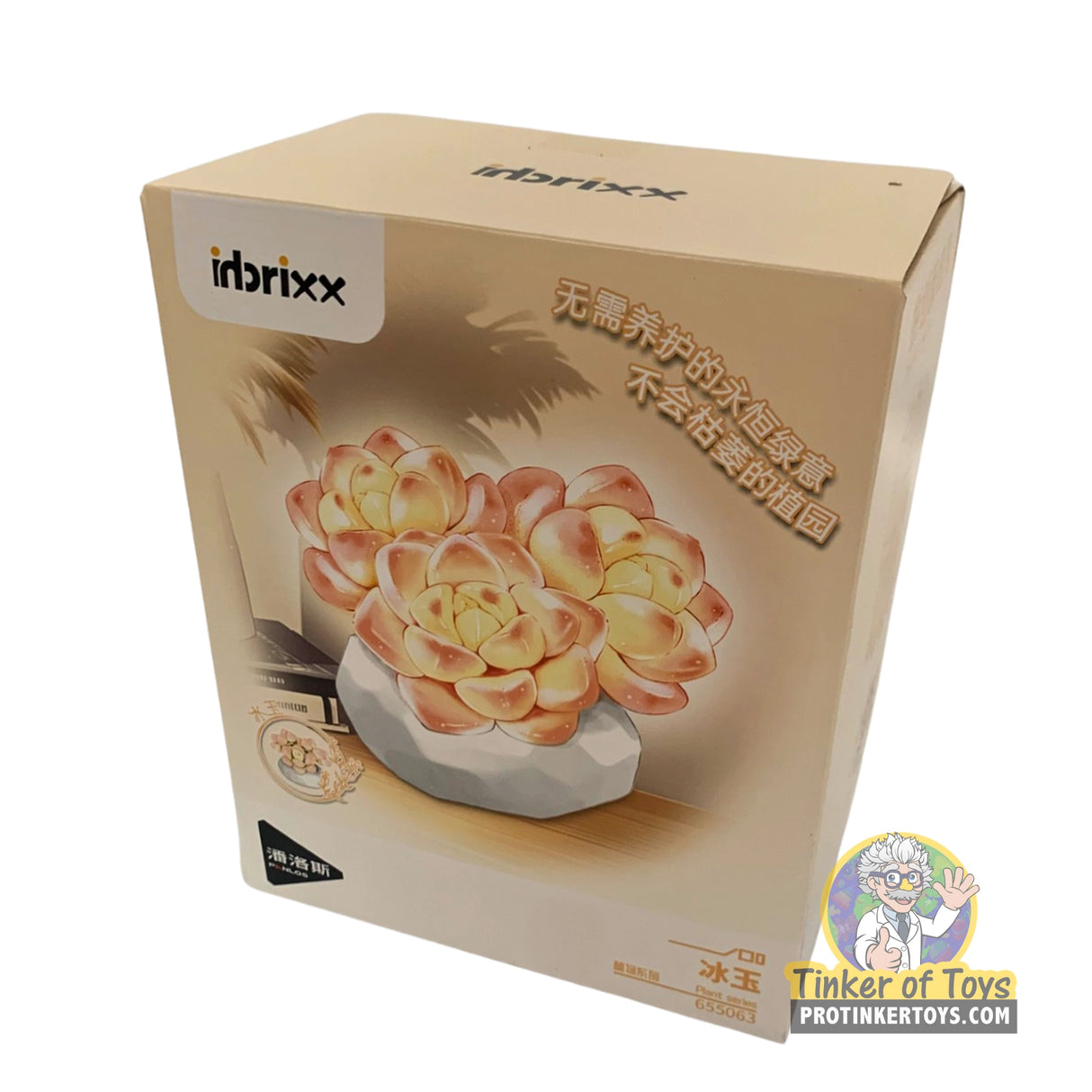 Inbrixx Botanical Series – Echeveria “Ice Green” Succulent (Echeveria elegans) – Model INBX65063