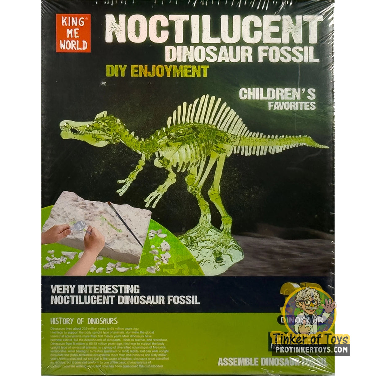 Noctilucent Dinosaur Fossil Assembly Kit (Spinosaurus) | IMX17219 | King Me World