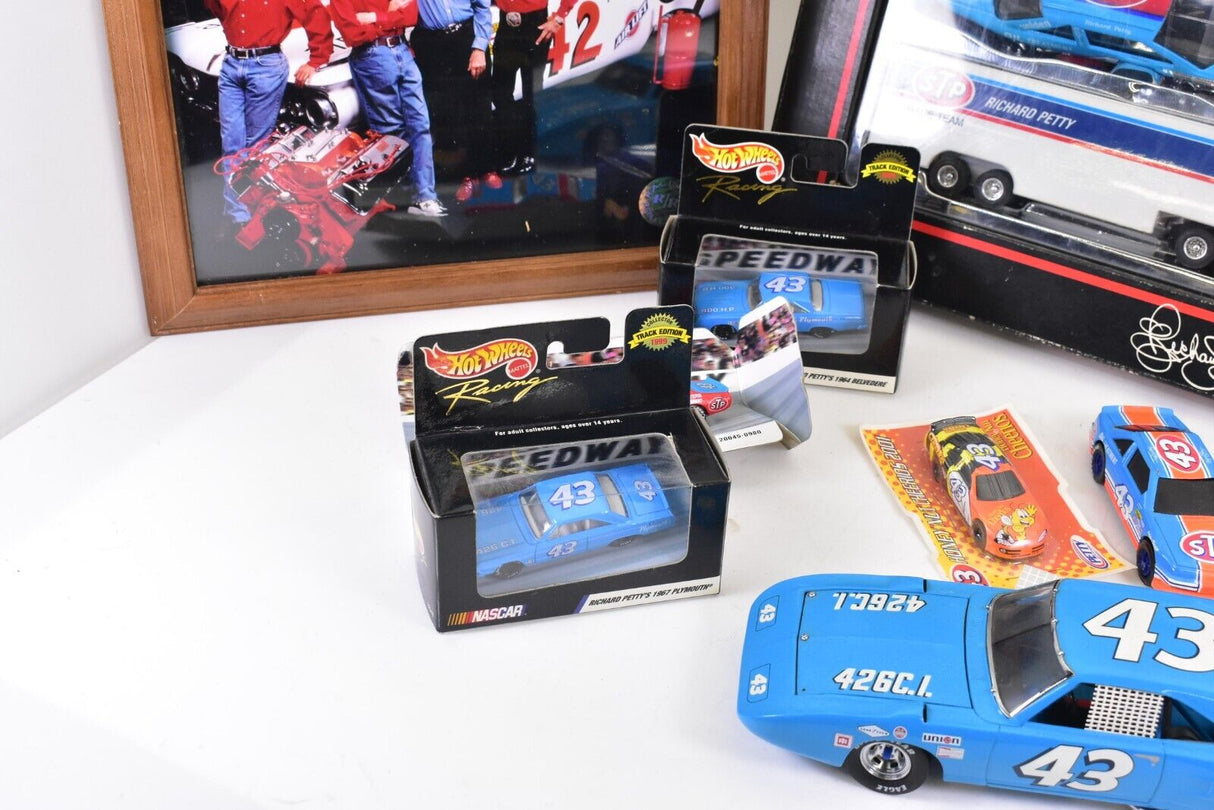 Mega Mega Lot of RICHARD PETTY #43 DIE CAST and picture