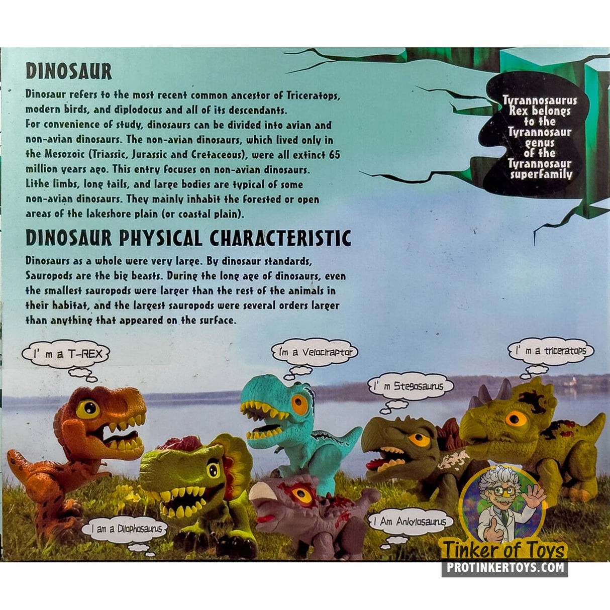 Sofubi Cartoon-Style Triceratops Dinosaur | IMX17202 | King Me World