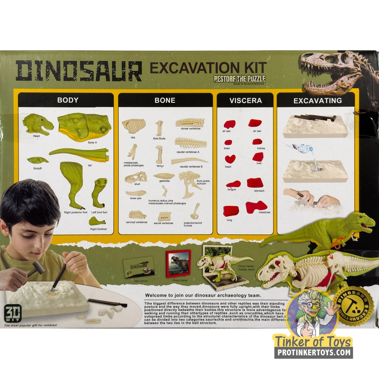 T-Rex Anatomy Excavation Kit | IMX17232 | King Me World