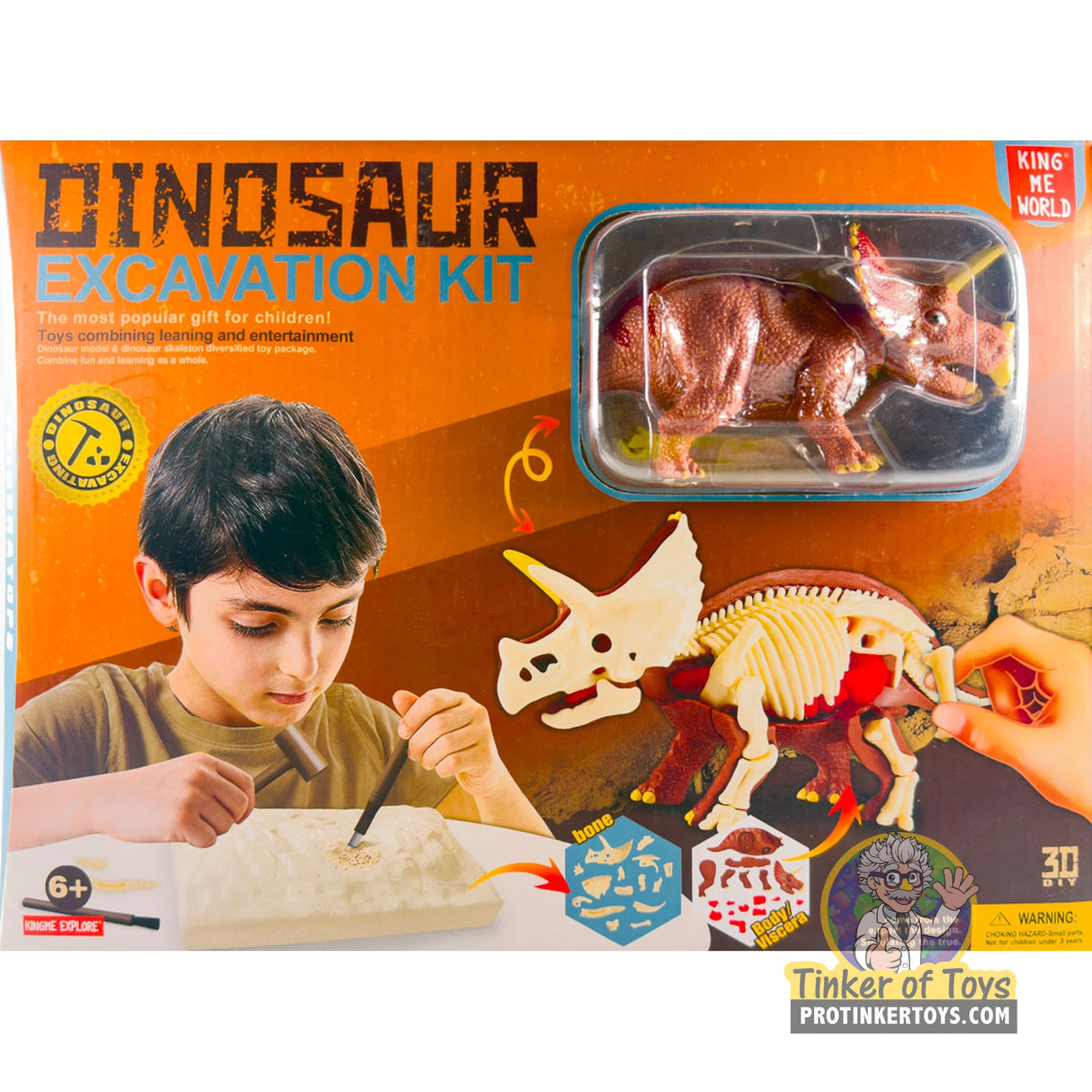 Triceratops Anatomy Excavation Kit | IMX17233 | King Me World