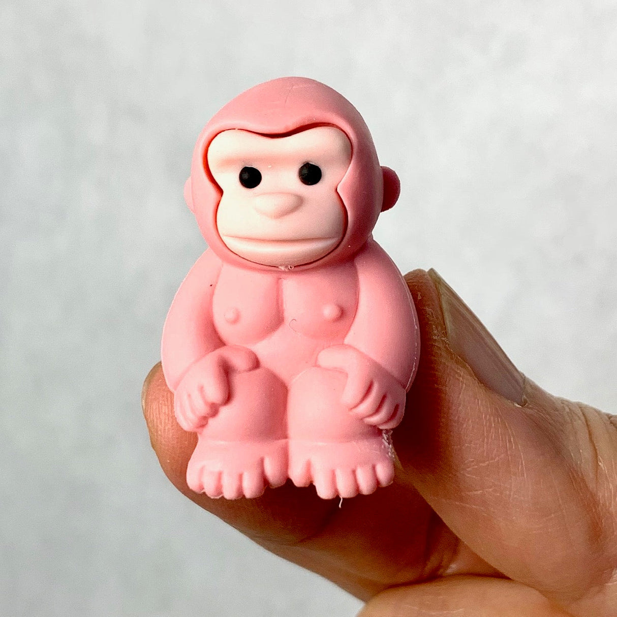 Iwako Safari Eraser | 382371 | BCmini