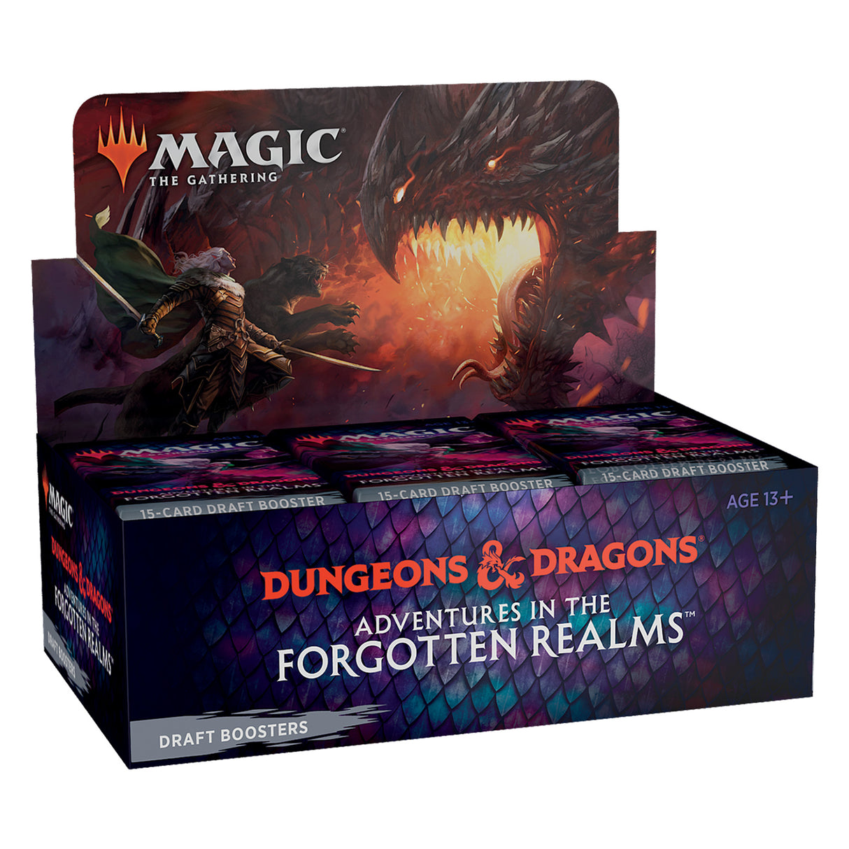 Magic: The Gathering DandD booster box art featuring a dragon and warrior for C87460000