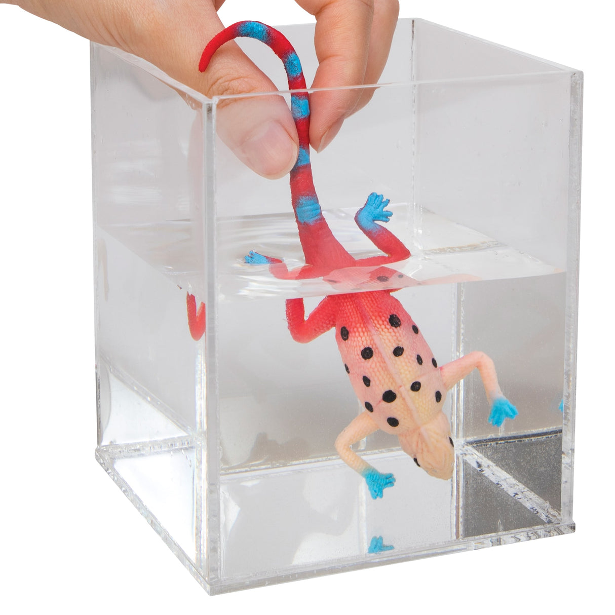 Hand holding a colorful, lizard-shaped reveal toy in a clear cube for Schylling CCRA