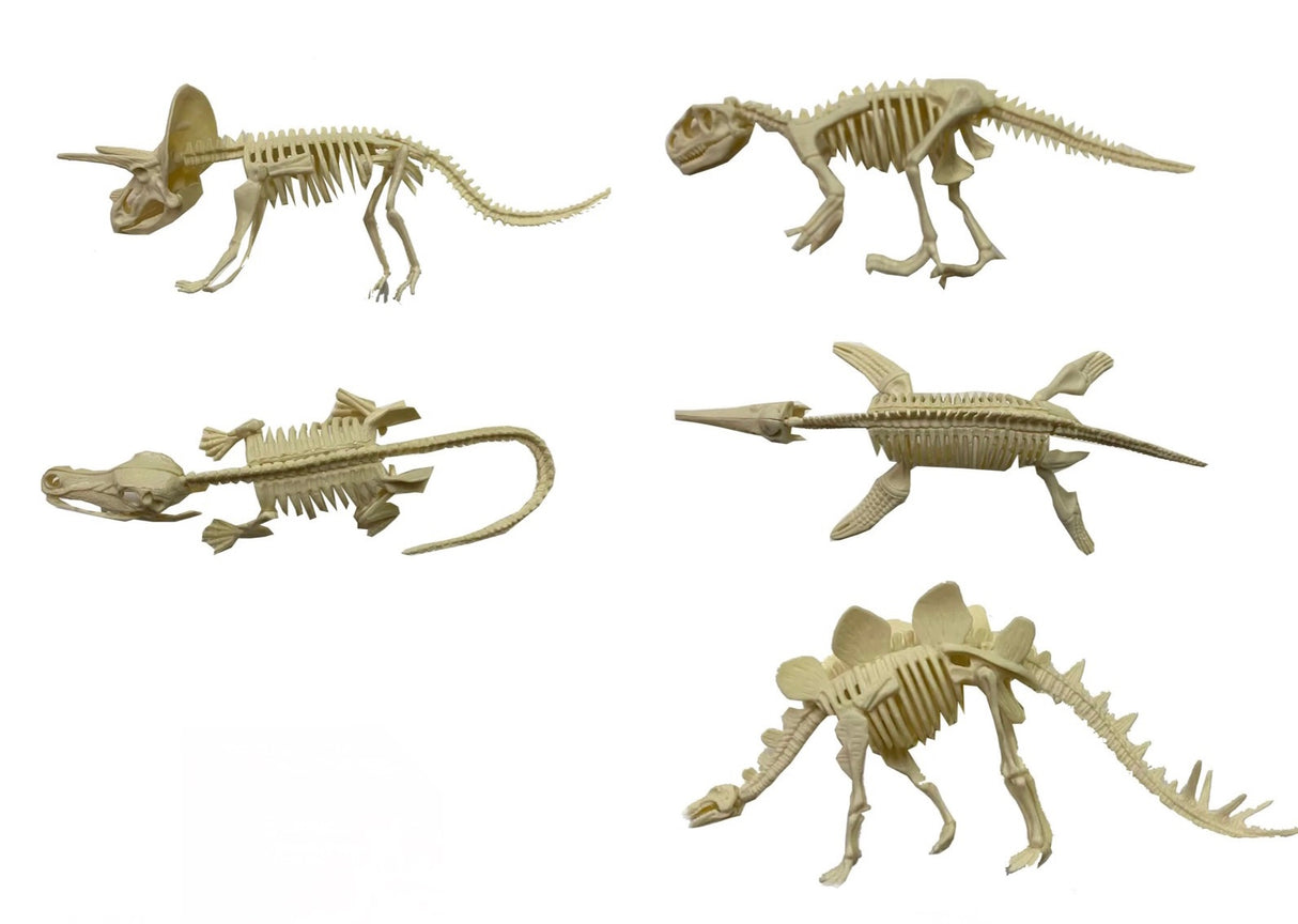 Diy Assembly Dinosaur | 88884 | BVP