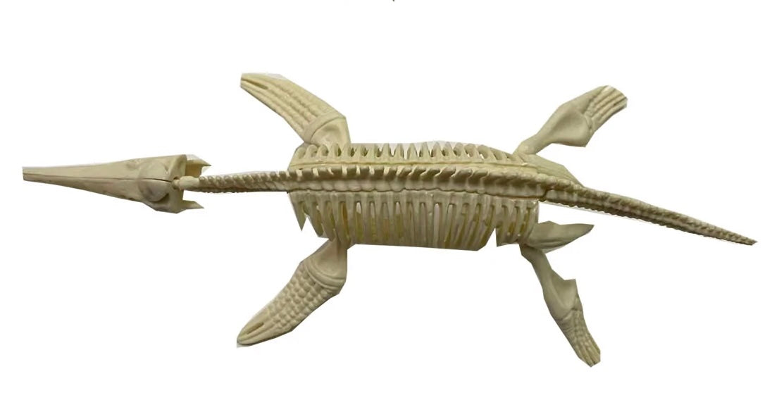 Diy Assembly Dinosaur | 88884 | BVP