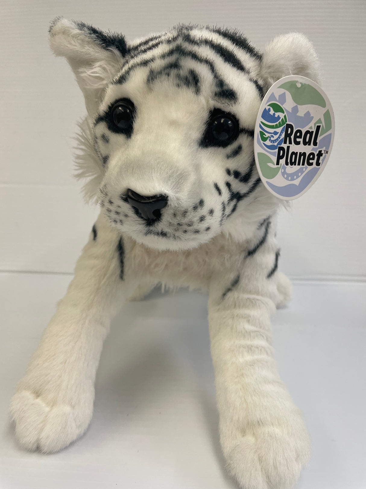 19" Baby White Tiger | TC48WH | Real Planet