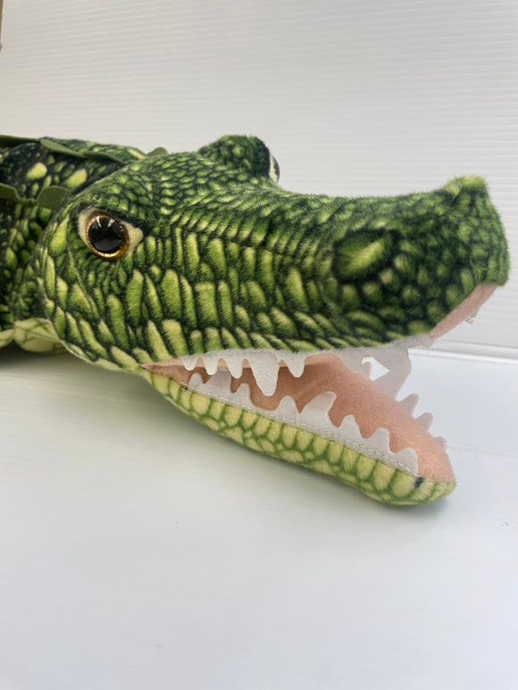 Open Mouth Crocodile 43