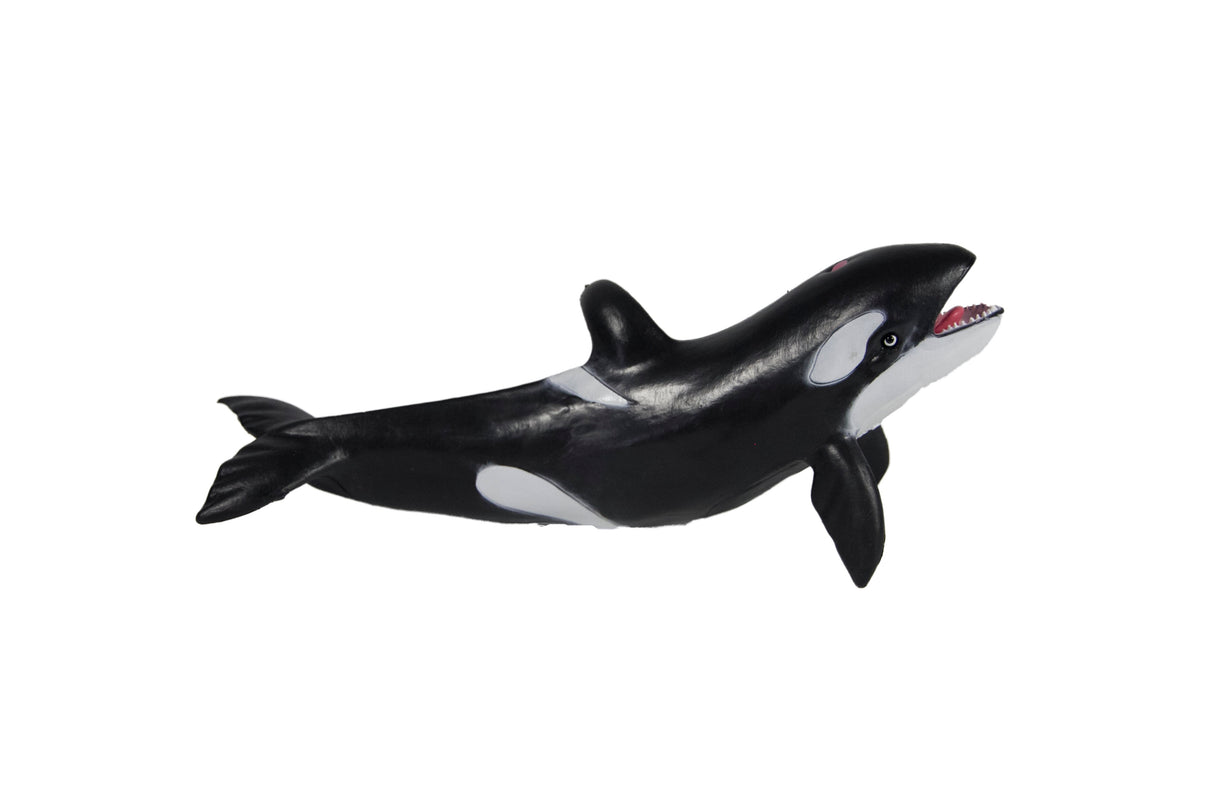 Killer Whale 8.25" | MAJ12211 | Mamejo