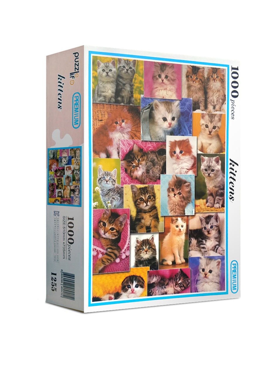 Kittens 1000 PC | PLF1255 | PuzzleLife