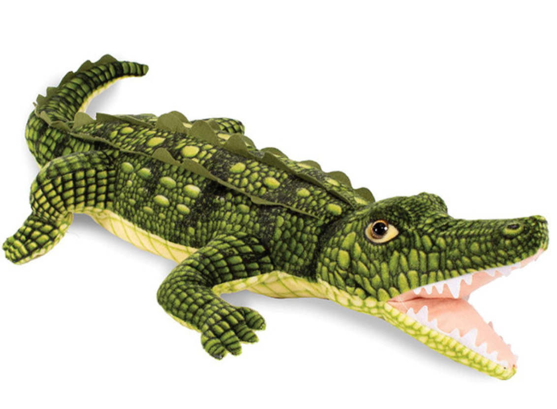 Open Mouth Crocodile 43