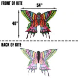 Butterfly DLX 3D Nylon Kite WindZone | 82830 | Brain Storm