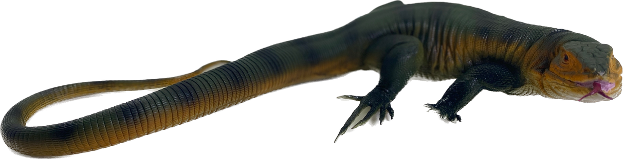 Large Green Tegus 20" | MAJ22250 | Mamejo