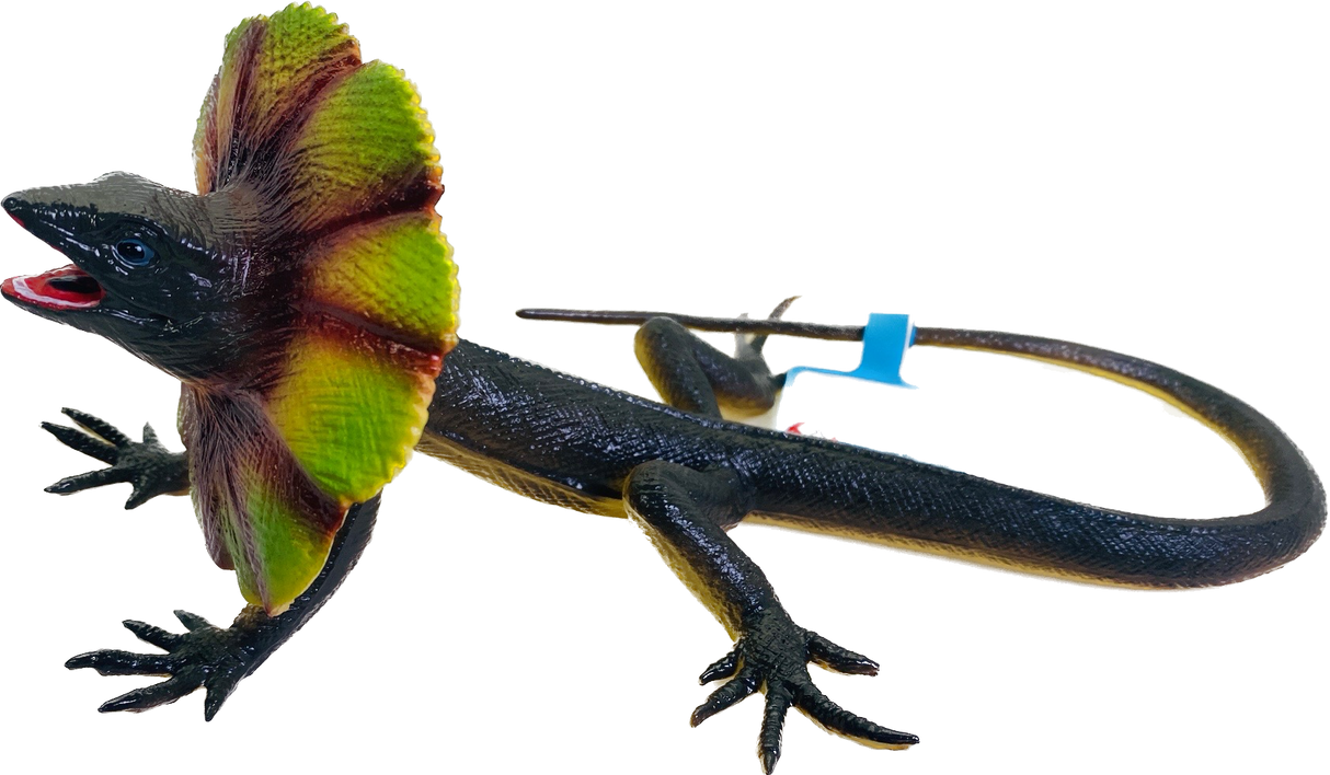 Small Brown Lizard 13" | MAJ22243 | Mamejo