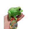 Green squishy frog toy resting on a colorful, round object for Faire WBSF