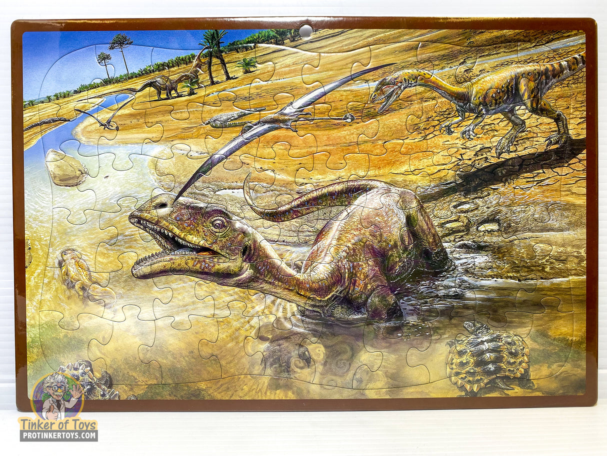 Dinosaurs | 60009 - 60013 | Timmy-IMEX-Puzzles-60013-ProTinkerToys