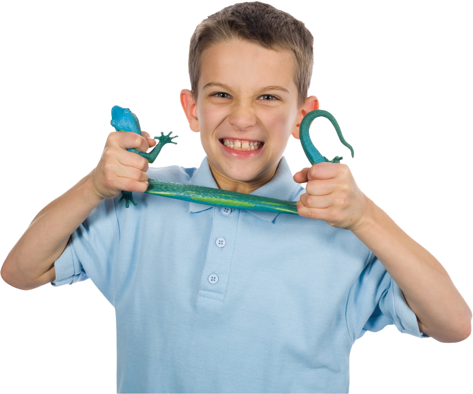 Boy holding colorful, squishy lizard toys for Toy Smith 1741