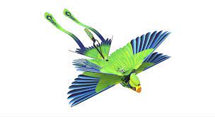 Zing Air GOGO Bird | ZG789 | Zing