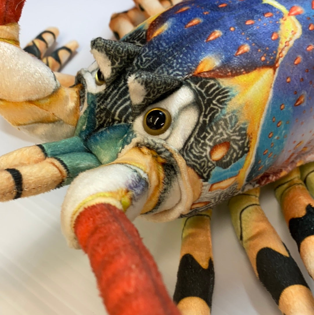 Colorful stuffed lobster toy with detailed blue and yellow pattern for Real Planet LB60B