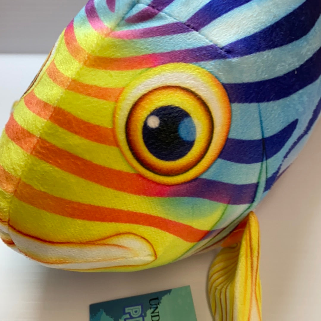 Colorful, striped stuffed fish toy with large, round eyes for Real Planet R-OS45