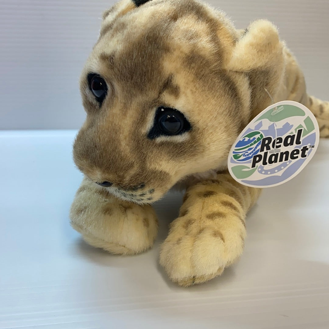 Stuffed lion cub toy with realistic features for Real Planet LC48