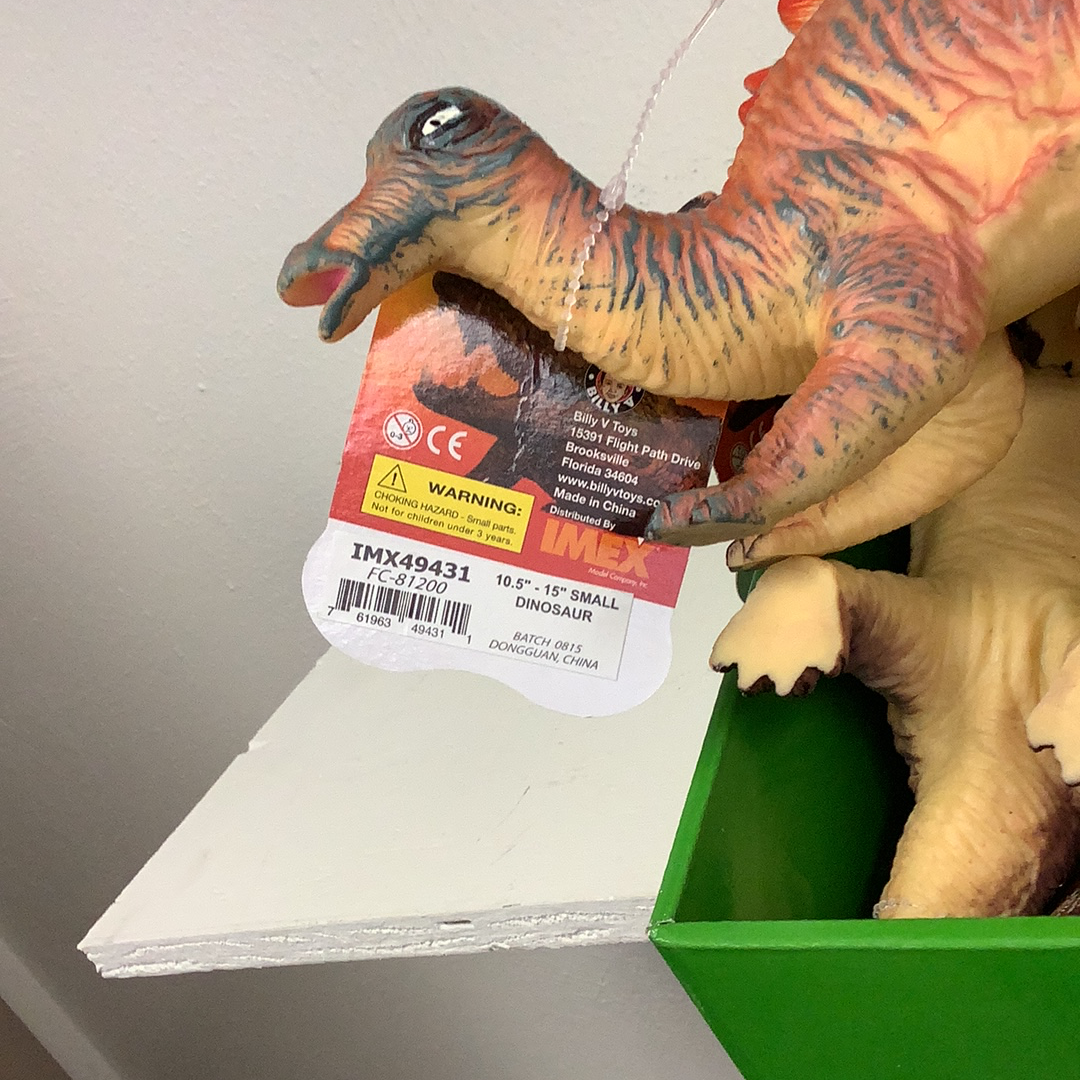 Dinosaur toy box with product packaging showing size and warning labels for Schylling IMX49431