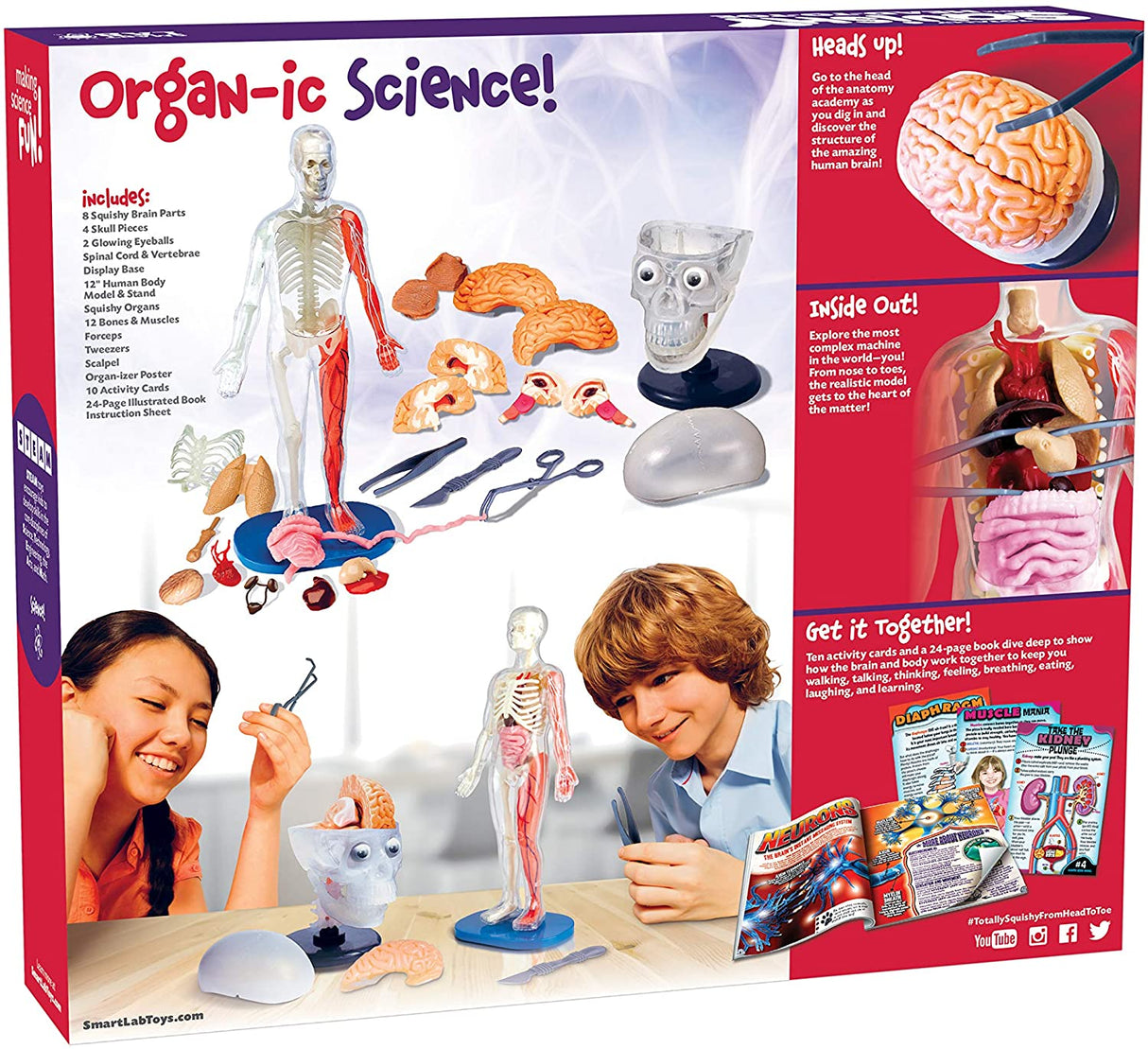 Science kit showing anatomy models and learning activities for kids for Smart Lab 00328