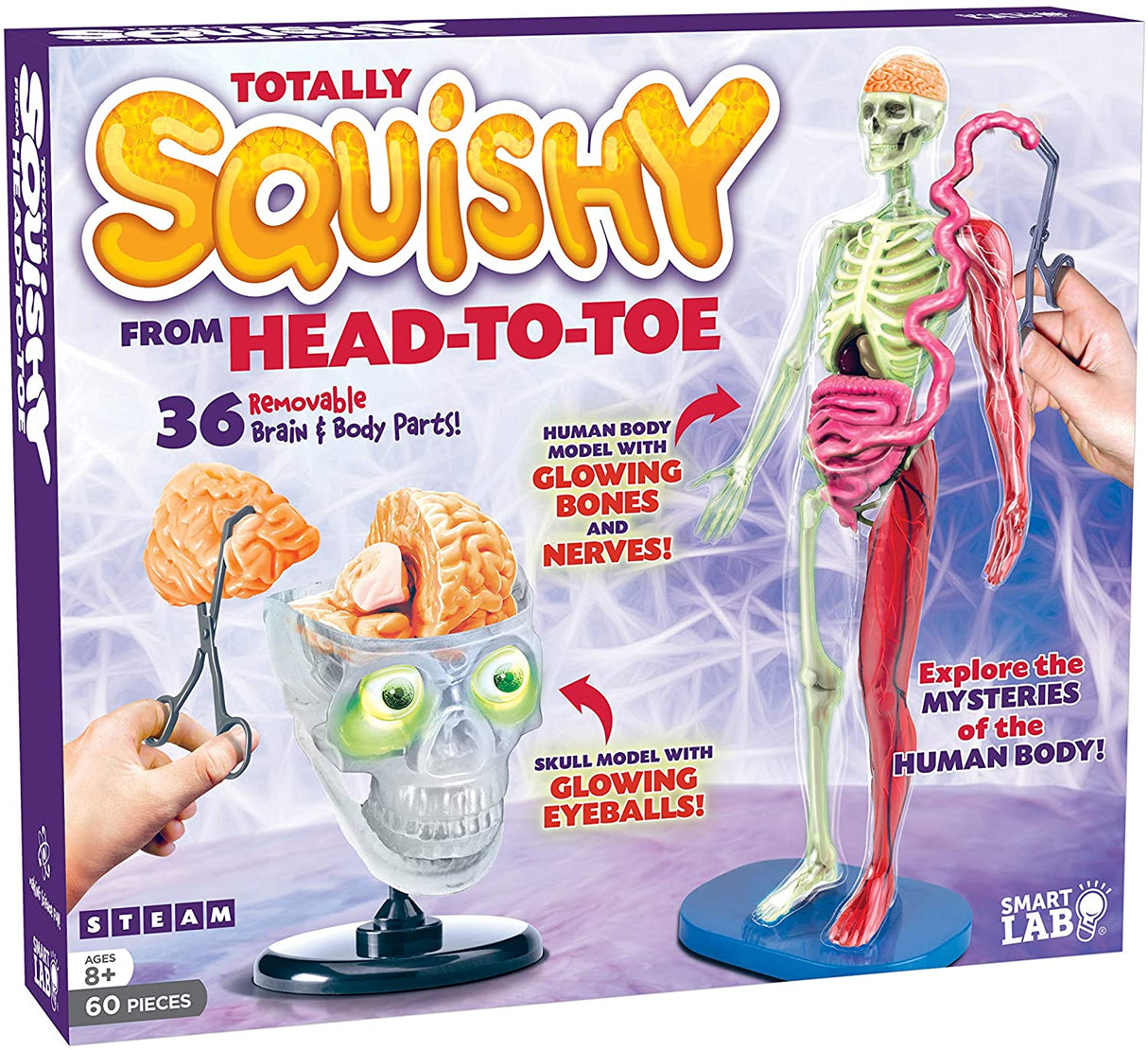 Anatomy model kit showing human body systems: skeleton, organs, and glowing parts for Smart Lab 00328