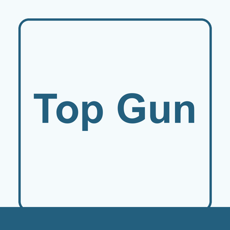 Top Gun logo