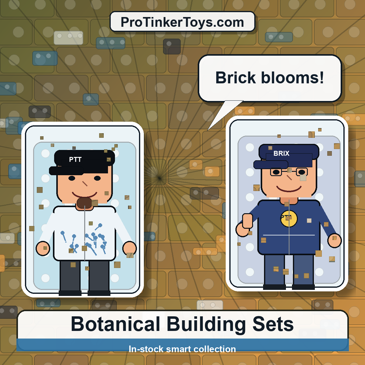 Botanical Building Sets ProTinkerToys collection image