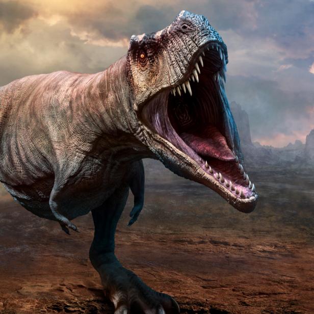 Dinosaur – Page 3 – ProTinkerToys.com