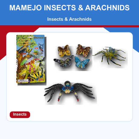 Mamejo insects and arachnids on a ProTinkerToys collection card