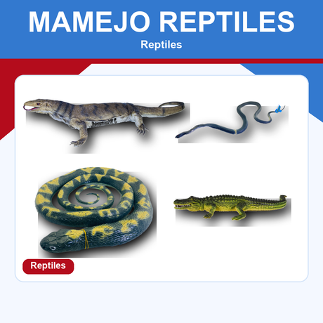 Mamejo reptile figures on a ProTinkerToys collection card