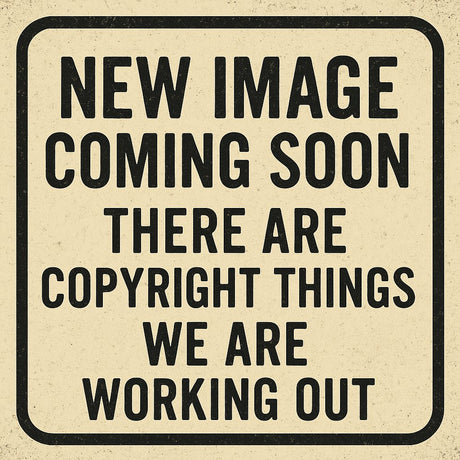 Model Motoring Bodies