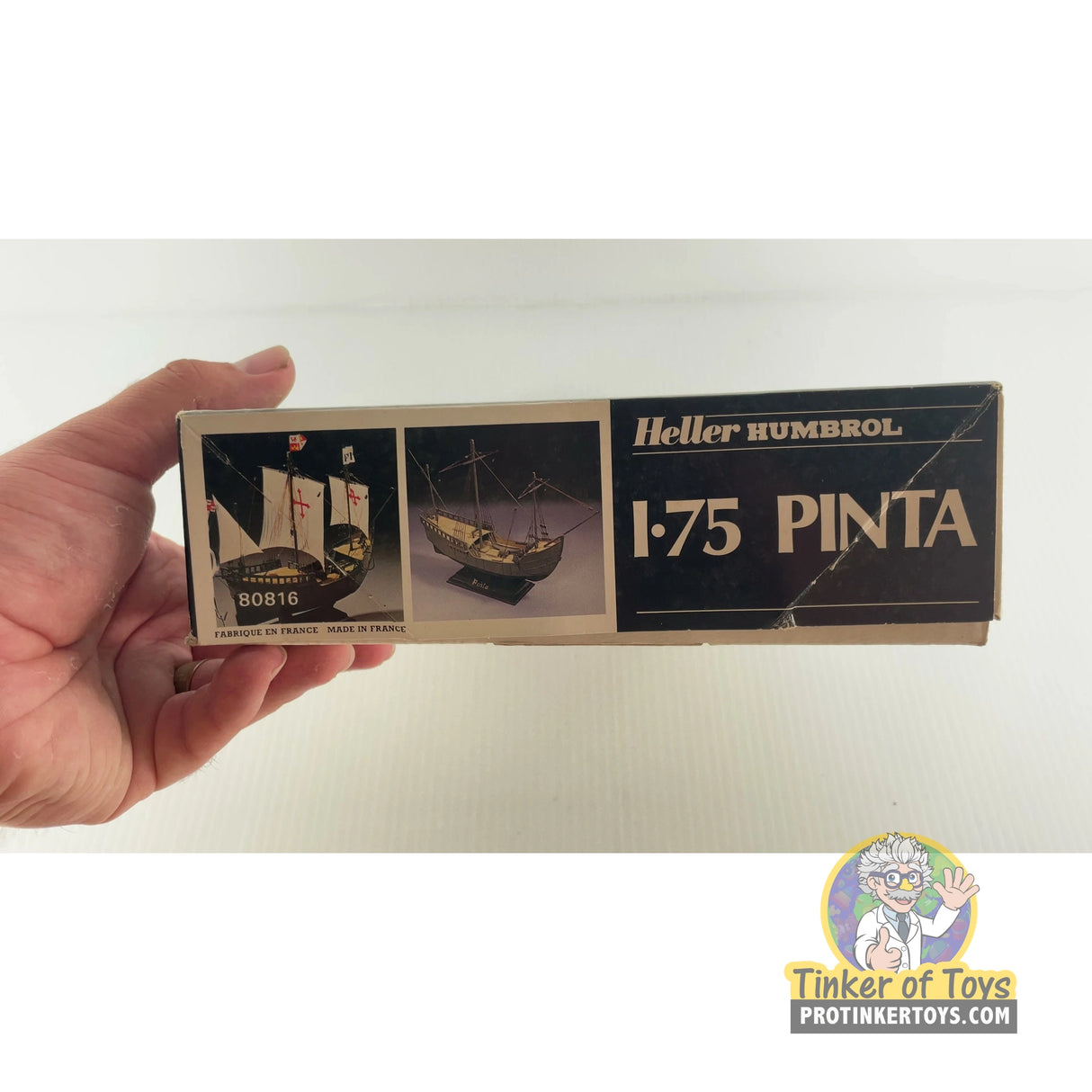 Pinta | 80816 | Needs Brand Review