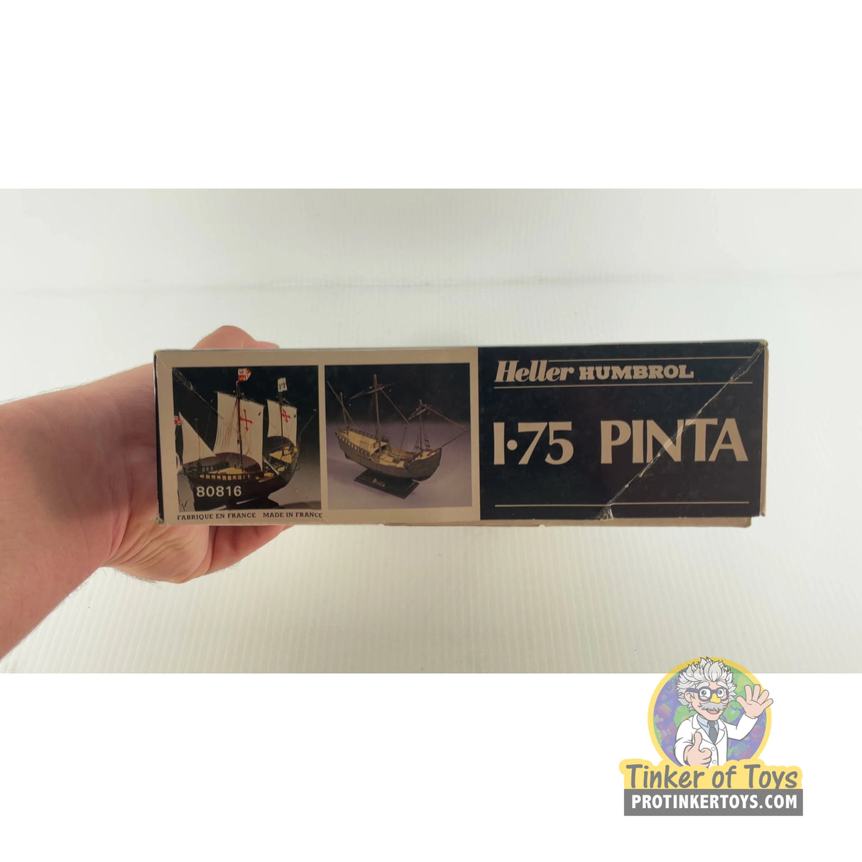 Pinta | 80816 | Needs Brand Review