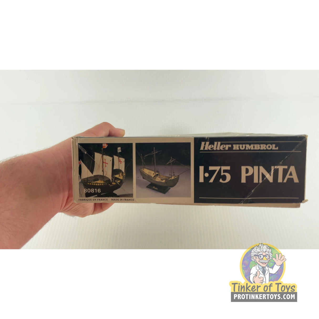 Pinta | 80816 | Needs Brand Review
