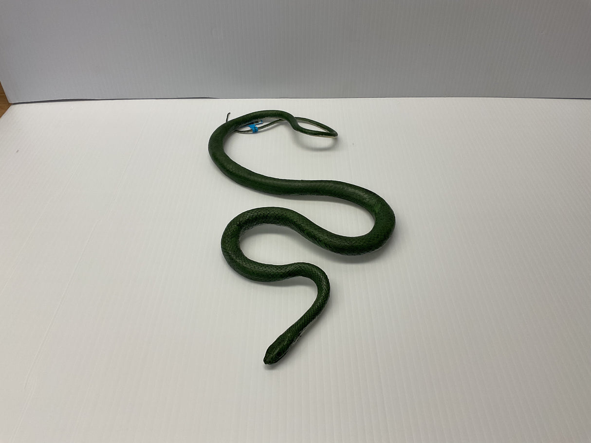 Green, coiled snake toy on a white surface for Mamejo MAJ22210