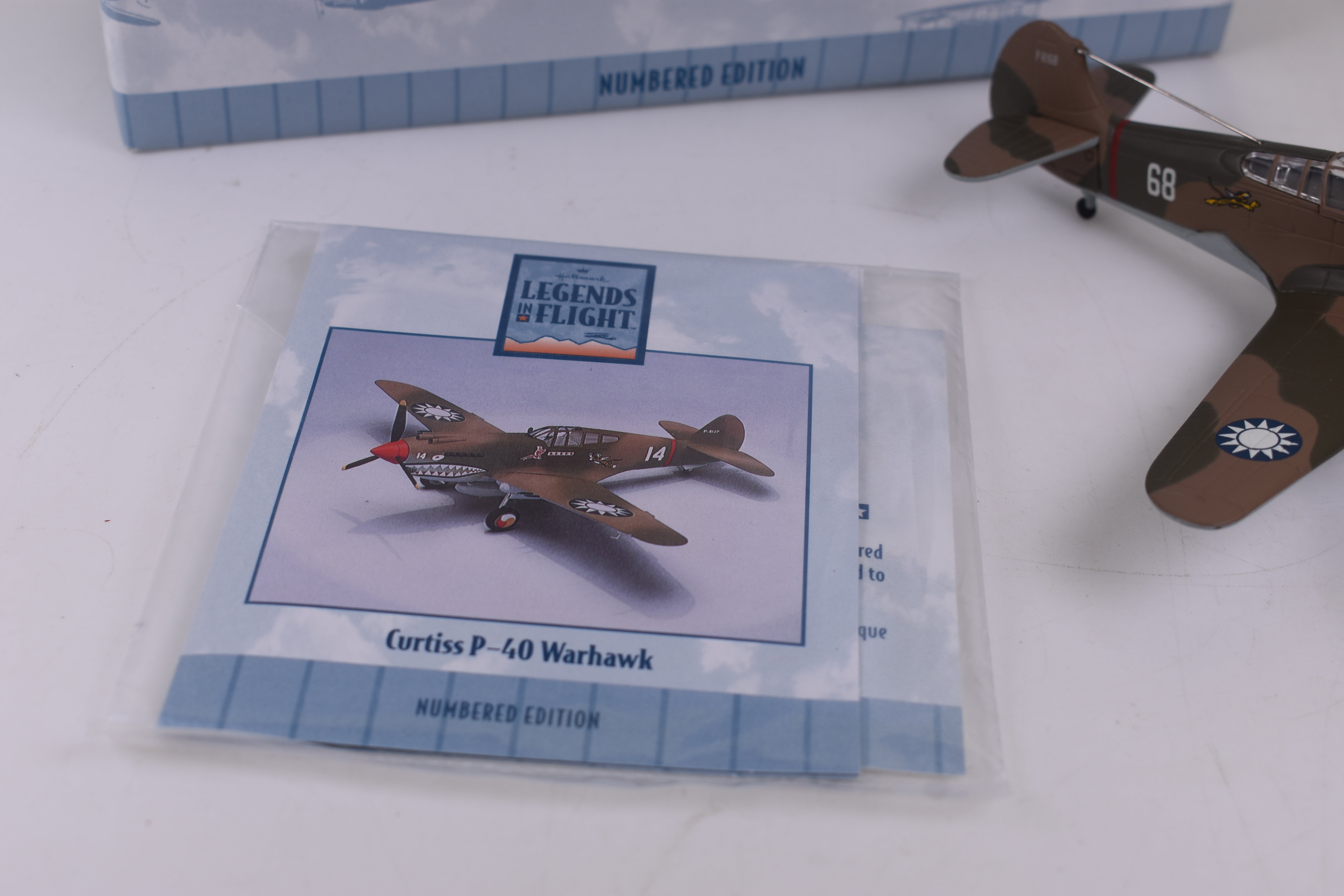Second Chance Legends In Flight Curtiss P-40 Warhawk 1:48 Airplane