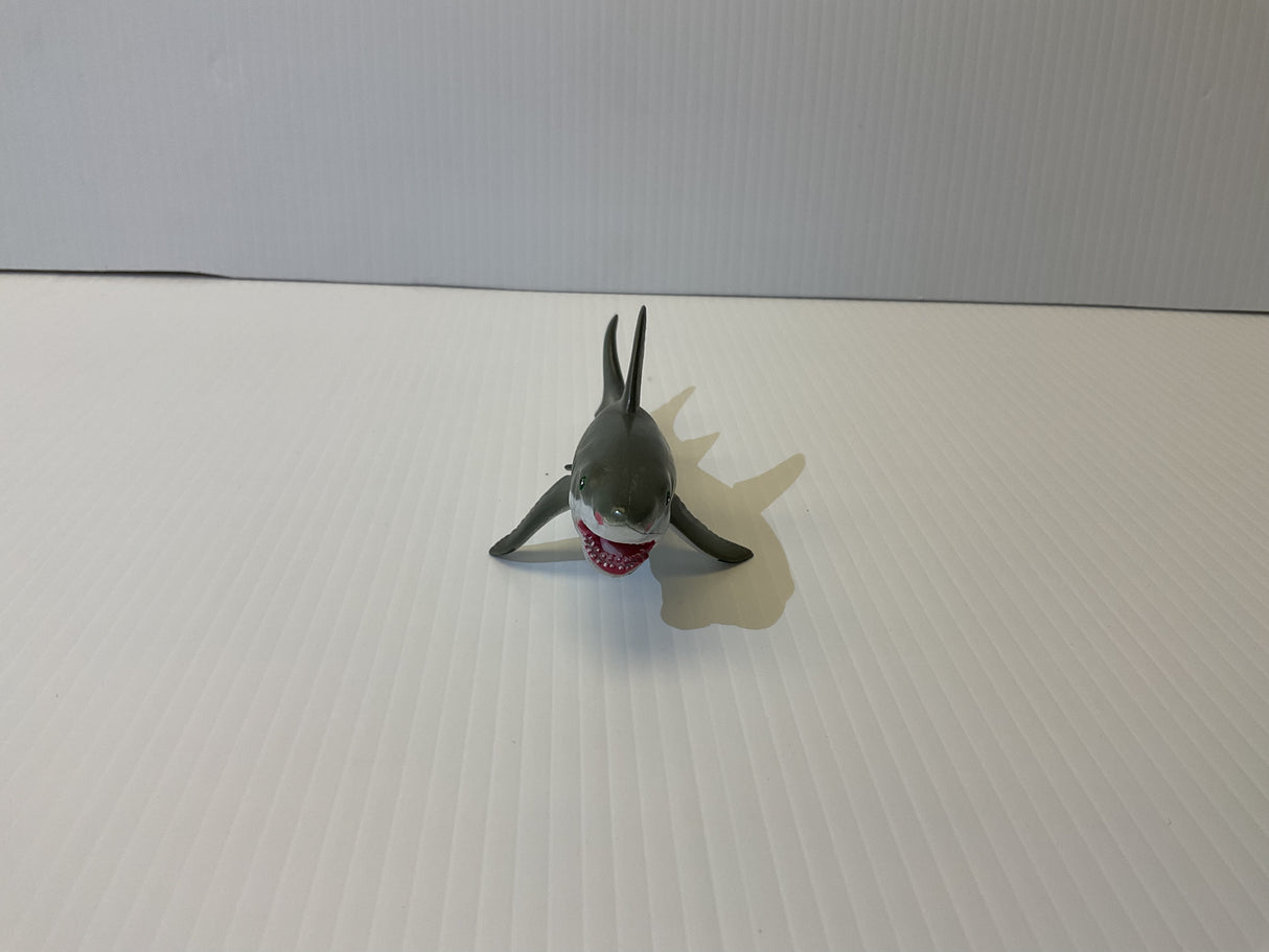 Young Great White Shark | MAJ12816 | Mamejo