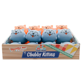 Assortment of cute, squishy cat toys in a wooden crate for Toysmith 6329