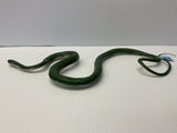 Green rat snake coiled on a white surface for Mamejo MAJ22210, rear view